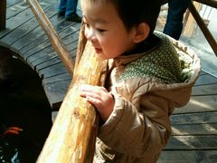 android_upload_pic-上海大自然野生昆虫馆