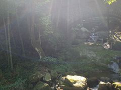 -藏龙百瀑风景区