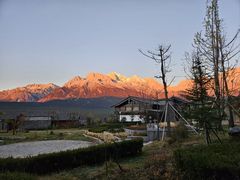 -丽江金茂璞修雪山酒店-雪景阁餐厅