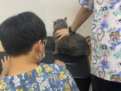 -联萌宠物医院(猫病专科)