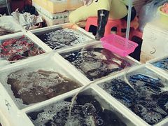 -板桥海鲜广场(文明东店)