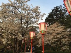 -金泽21世纪美术馆