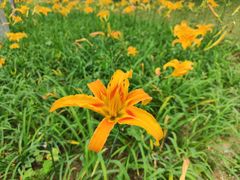 -中国移动南方基地