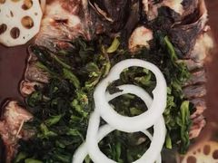 -鱼酷活鱼烤鱼(沈阳大悦城店)