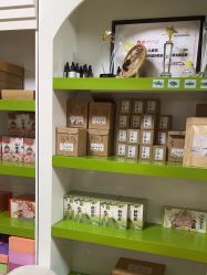-番小茄小儿推拿(望京店)