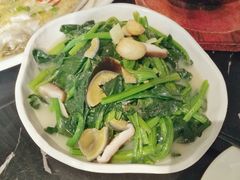 上汤菠菜-南国会酒家(岗顶1站广场店)