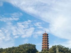 -红花山公园