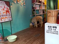 -磁器口古镇
