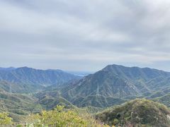 -大岭沟猕猴桃谷风景区