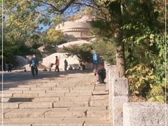-府君山公园