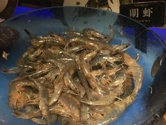 -加餐海鲜自助(宝龙一城店)
