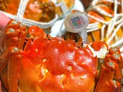 -阳澄湖大闸蟹·琼灵阁牌品牌连锁(吴中总店)