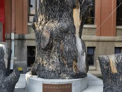 -南京钟山宾馆(江苏省会议中心)