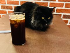-猫小院猫主题餐厅(南锣旗舰店)