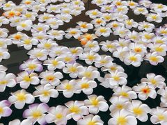 -七彩云南古滇温泉山庄