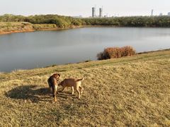 -盘龙城国家考古遗址公园