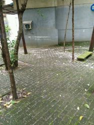 -荟草堂专业祛痘连锁机构