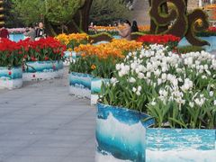-南山植物园