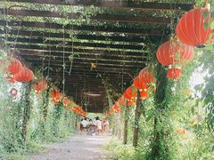 -同銮特种养殖场·龙虾垂钓