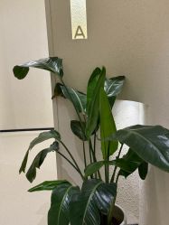 -美丽妈妈产后恢复中心(三林店)