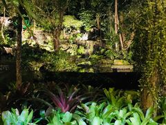 -绿光森林餐厅