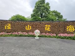 -径山花海