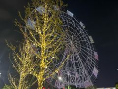 -南昌之星摩天轮