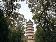 -灵谷景区