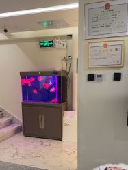 -海涛医疗美容·面部抗衰·注射美鼻