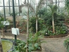 -武清南湖绿博园