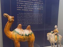 -镇江博物馆