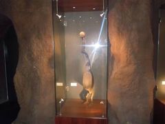 -兰剑驾校(汉阳校区)