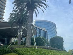 -舟山希尔顿酒店