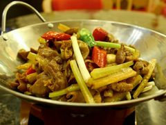 -鱼乐乐(Happy Fish)