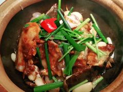 -大榕树下顺德菜(融创茂店)