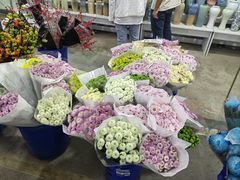 -三圣花乡旅游区