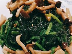 小蘑菇调菠菜-西北45°(世茂广场店)