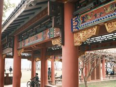 -顺峰山公园