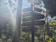 -龙湾潭国家森林公园