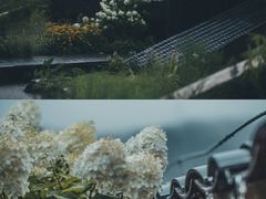 -武当山风景区