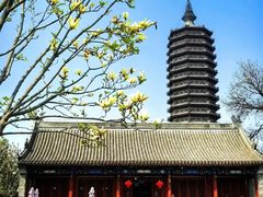 -西海子公园