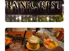 -Rainforest