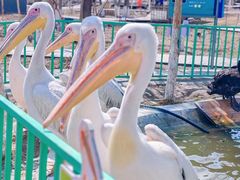 -水上乐园·欢乐世界