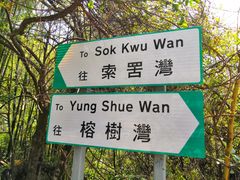 -南丫岛