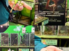 -正佳雨林生态植物园