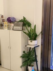 -香秀空间科技抗衰·美容中心