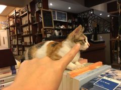 -看书吧(体育东横路店)
