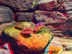 -沈阳海洋探索中心