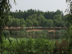 -东郊湿地公园