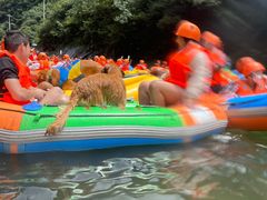 -安吉龙王山峡谷漂流